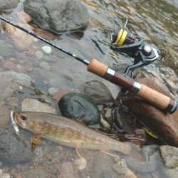 ダートマジックで尺イワナ ～九頭竜川水系～